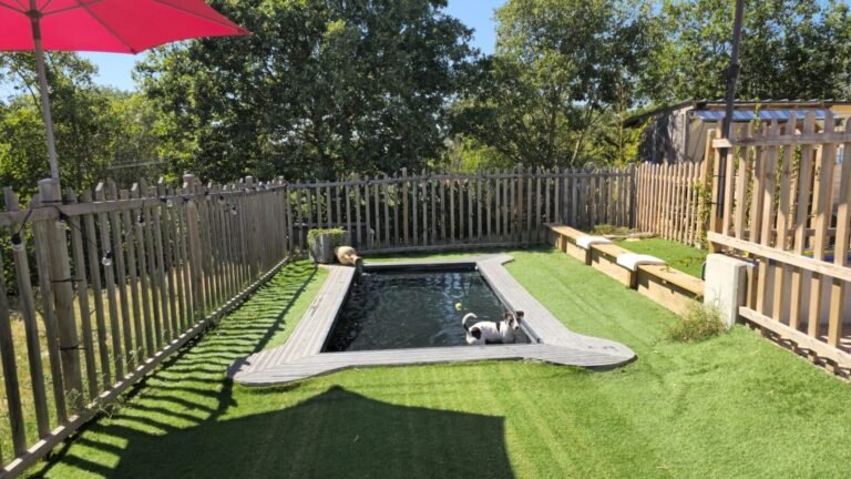 Piscine pour chiens au Camping l'Escale Occitane dans l'Aude à Alzonne dans le Sud de la France