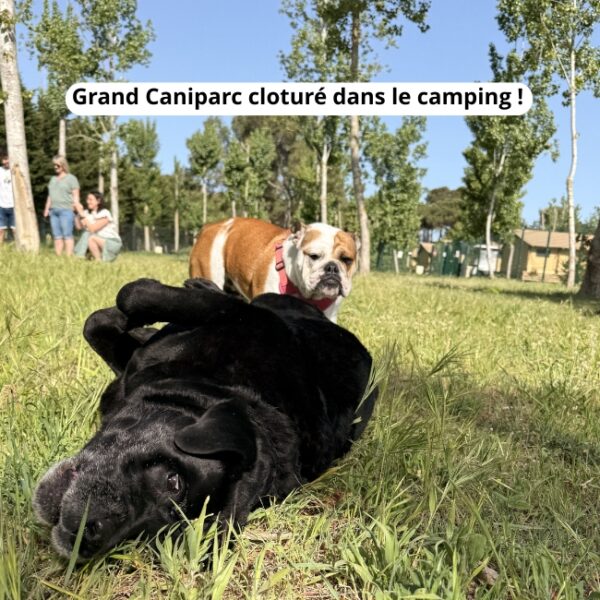 Camping Homair Domaine la Yôle - vacances avec son chien à Valras dans l'Hérault - EmmèneTonChien.com