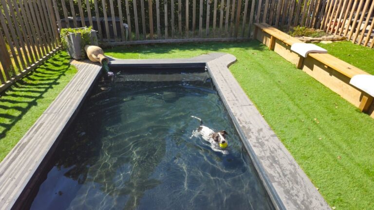 Piscine pour chiens au Camping l'Escale Occitane dans l'Aude à Alzonne dans le Sud de la France