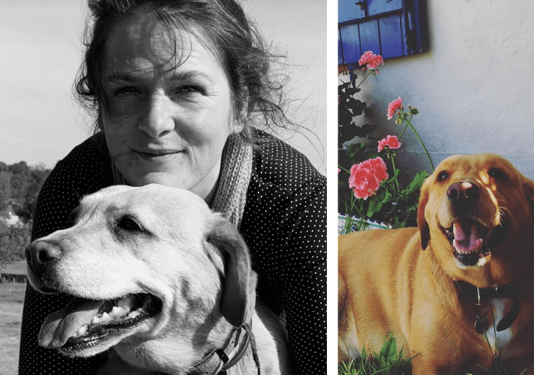 Mahaut e Iota: nuestros perros-reporteros