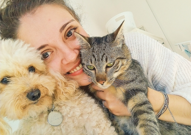 Saindo de férias para Barcelona com seu cachorro e gato