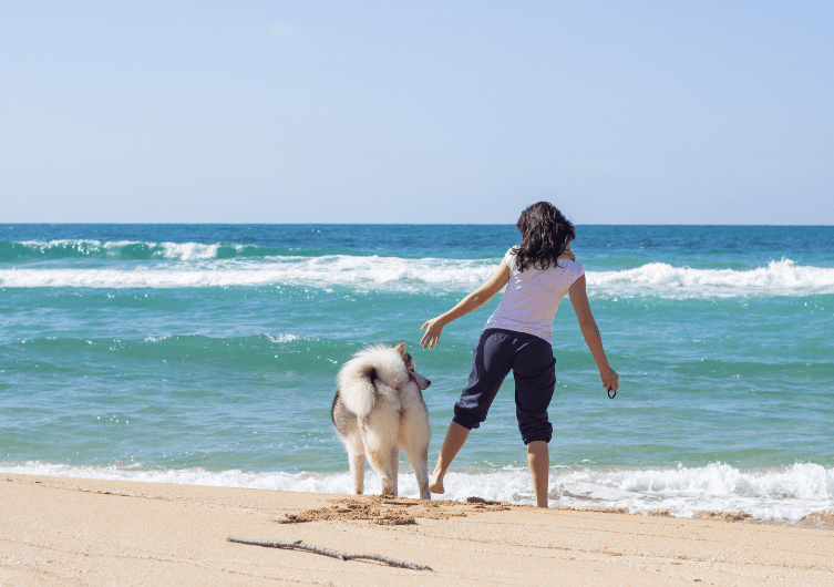 Partir en vacances avec son chien : 3 destinations dog-friendly en France