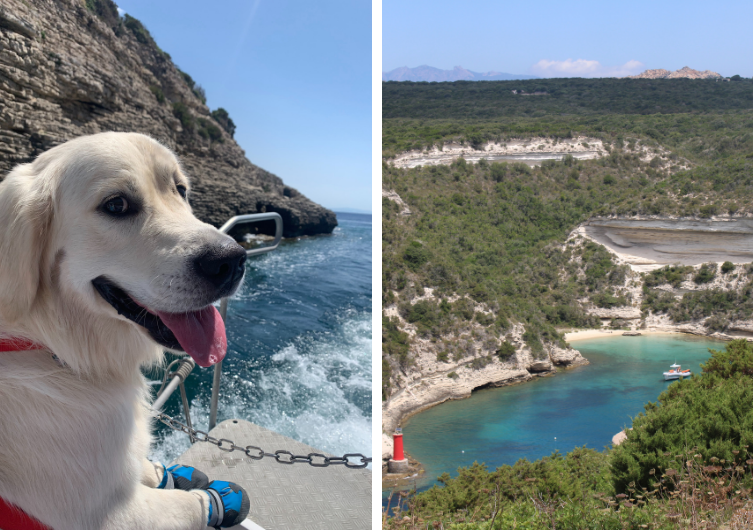 Reisen Sie mit Ihrem Hund im Süden Korsikas