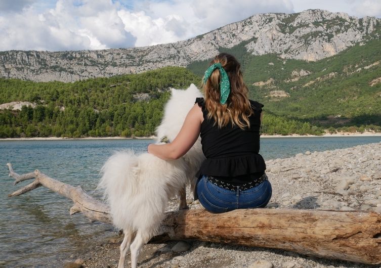 Visiter les gorges du Verdon avec son chien