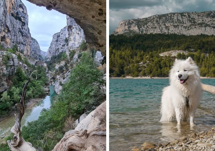 Odelys et sa chienne Olympe partent en vacances dans les gorges du Verdon