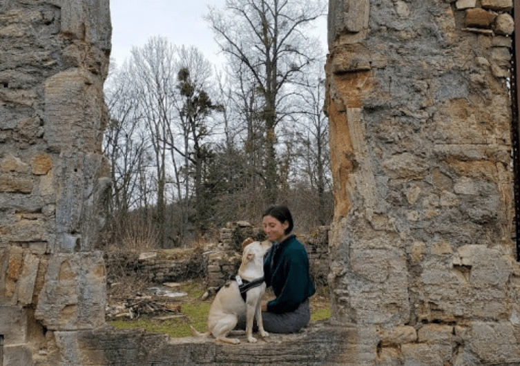 Les sites à visiter avec son chien en Alsace