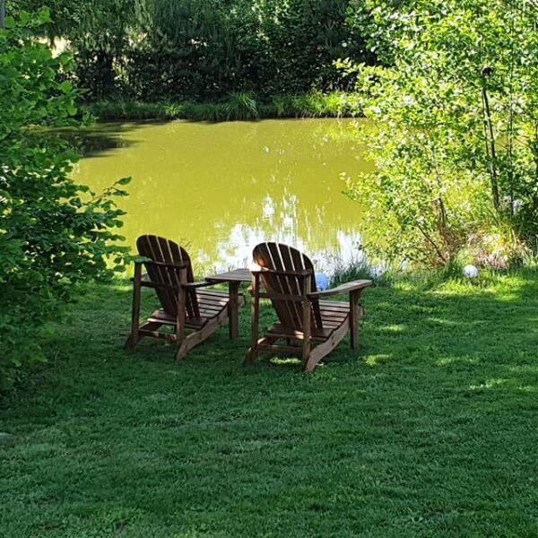 l'étang du Gîte La Heckeliere à La Houssière dans les Vosges daas la région Grand Est