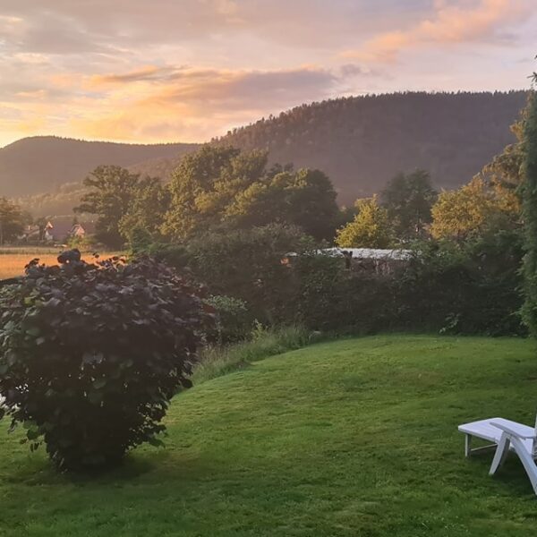 environnement du Gîte La Heckeliere à La Houssière dans les Vosges daas la région Grand Est