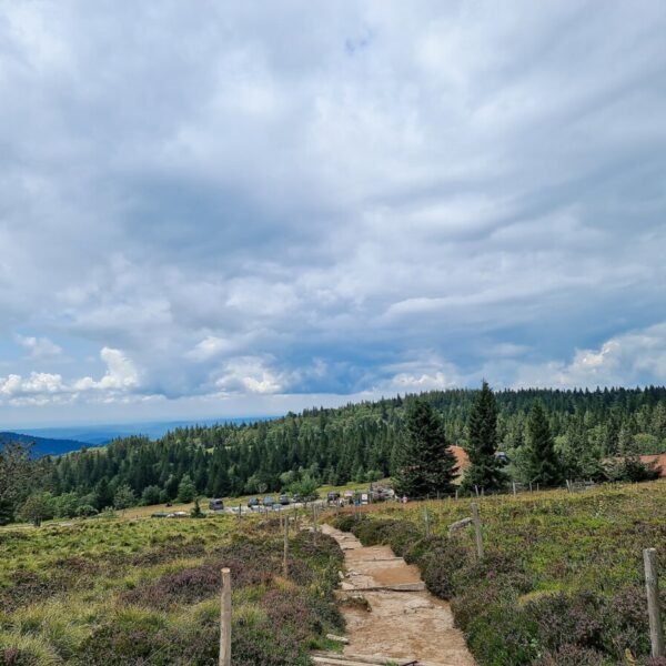 environnement du Gîte La Heckeliere à La Houssière dans les Vosges daas la région Grand Est