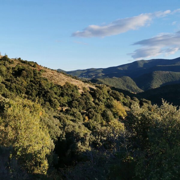 Gîtes Pyrénées mon Amour