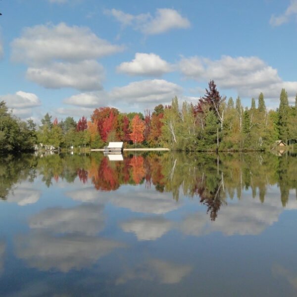 L'étang du Camping Sunelia l'Etang de Sologne à Nouan-le-Fuzelier en Loir-et-Cher dans le Centre-Val de Loire