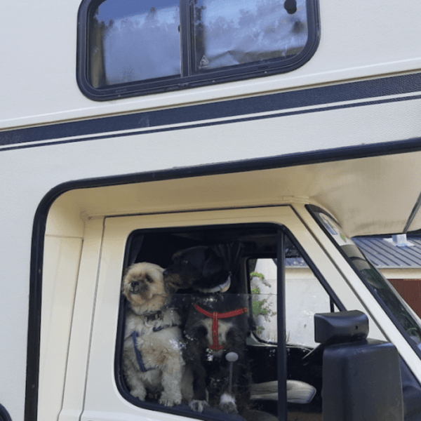Camping Sunelia l'Etang de Sologne