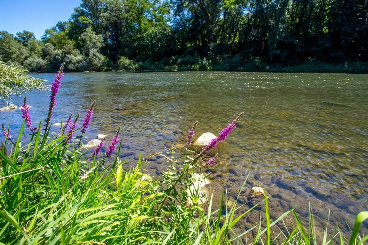 Camping Sites & Paysages LE MOULIN