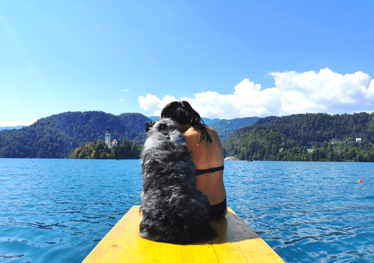 La Slovénie avec votre chien