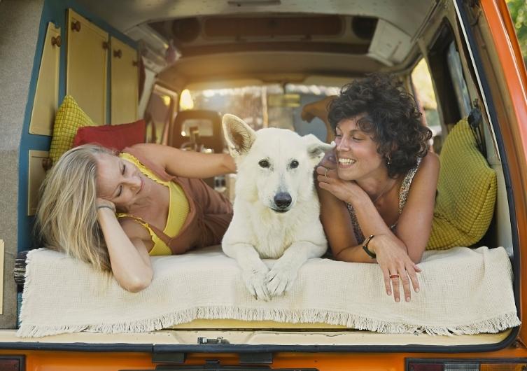 VANLIFE : un van aménagé pour voyager avec son chien