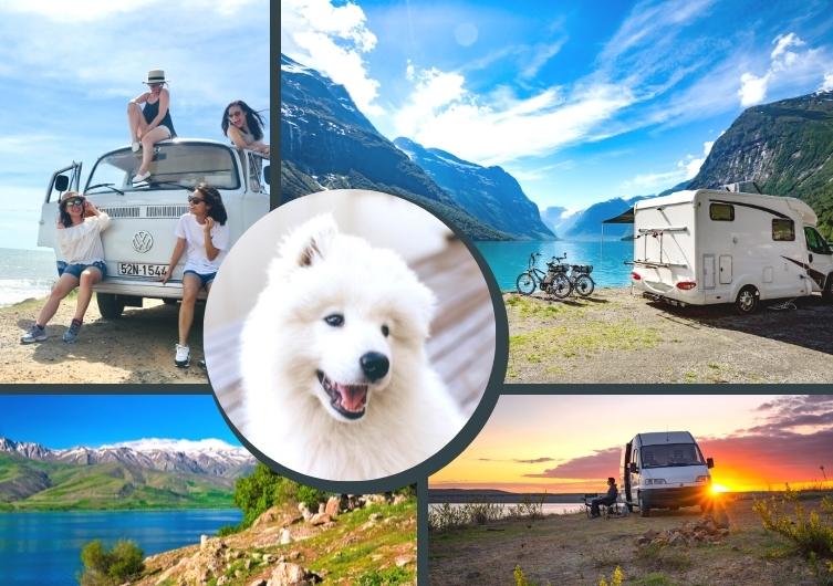 Yescapa, la solution pour louer un van ou un camping-car avec son chien !