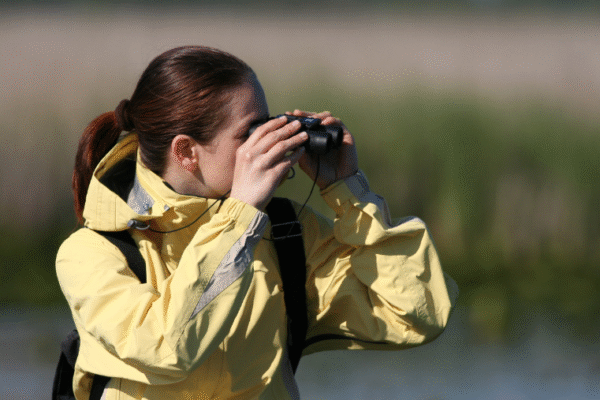 Réserve ornithologique Baie de Somme – Grand-Laviers