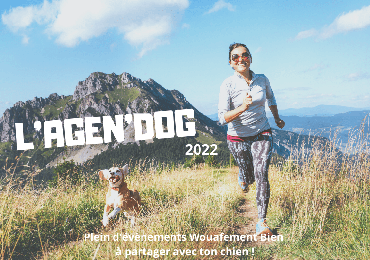AgenDog: die Hunde-Events des Jahres