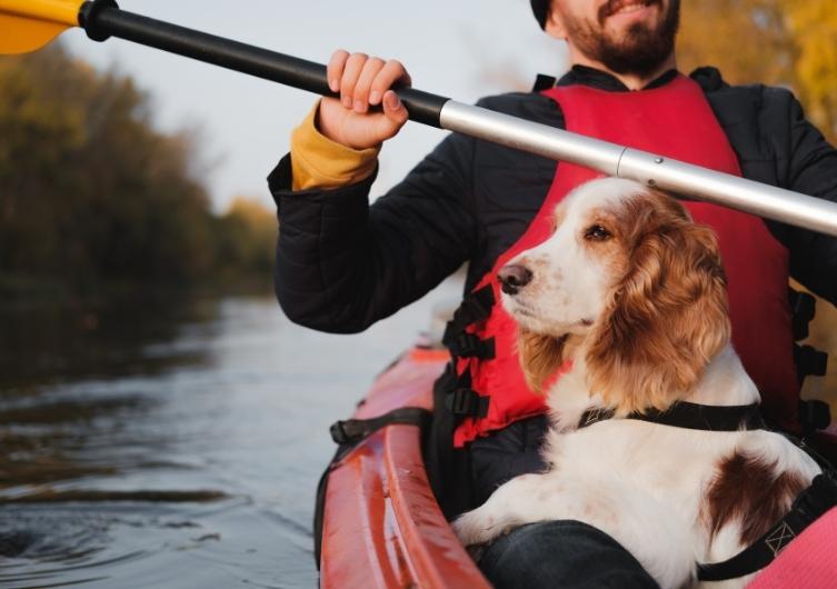 Acampe e canoe com seu cachorro