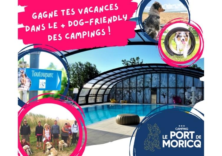 Jeu concours – Gagnez vos vacances avec votre chien au Port de Moricq