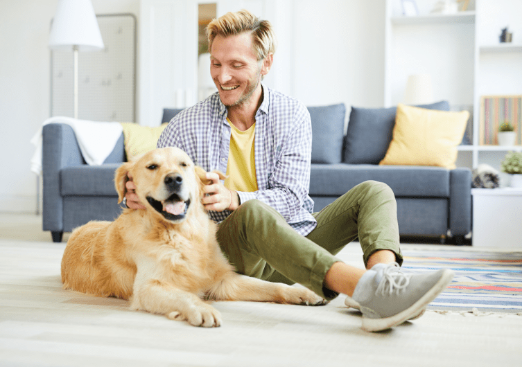 Vacances : quel hébergement choisir avec son chien