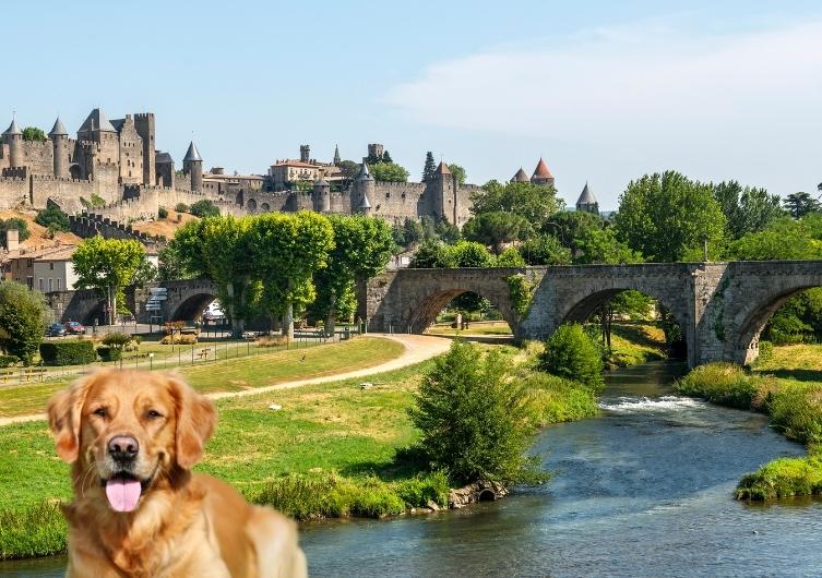 Vacances dans l’Aude avec son chien, Carcassonne et châteaux cathares