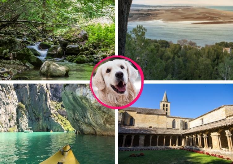 Activités à faire avec son chien dans l'Aude