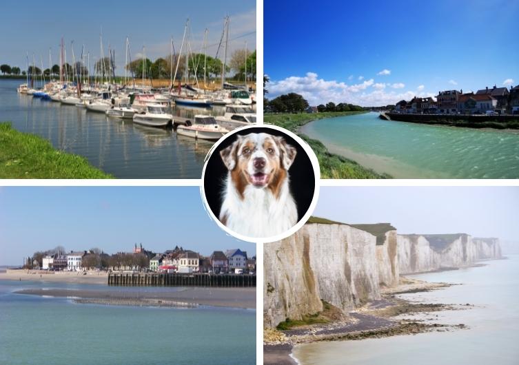 walk-to-do-with-your-dog-cote-mer-somme