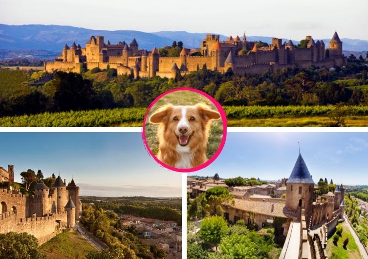 Férias em Carcassonne com seu cachorro