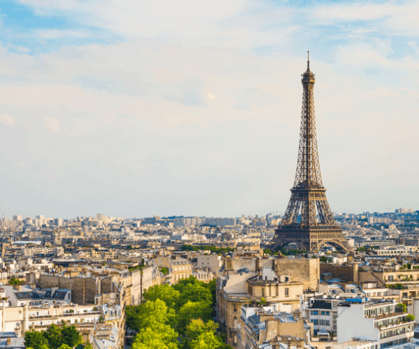 Tout savoir pour visiter Paris avec un chien !