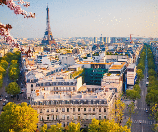 Tout savoir pour visiter Paris avec un chien !