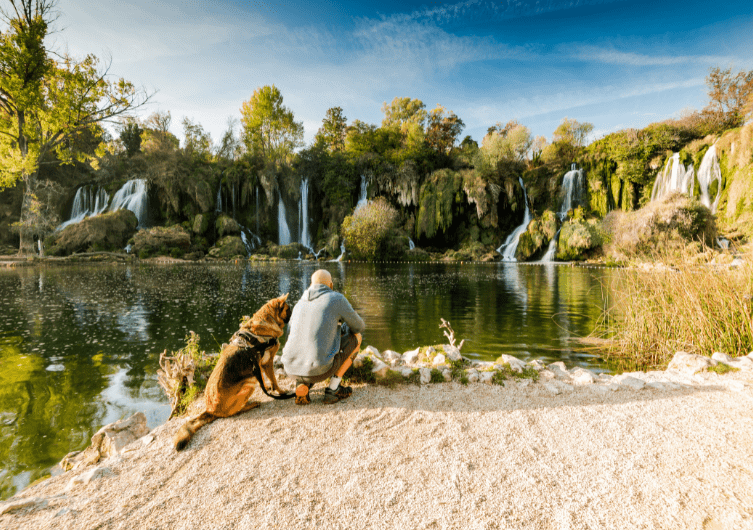 Top 5 de los mejores destinos para refrescarse con tu perro