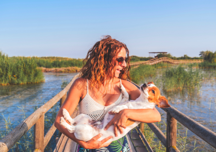 Where to go on vacation with your dog in France?