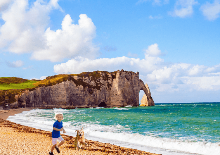 Holidays in Normandy with a dog