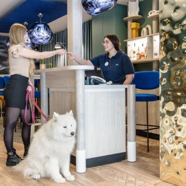 mercure_annecy_centre_-_hotel_chien_accepte_a_annecy_-_74_-_haute_savoie_-_chiens_acceptes_-_chiens_admis_-_mercure_-_vacances_avec_son_chien_a_annecy_emmenetonchien.com_