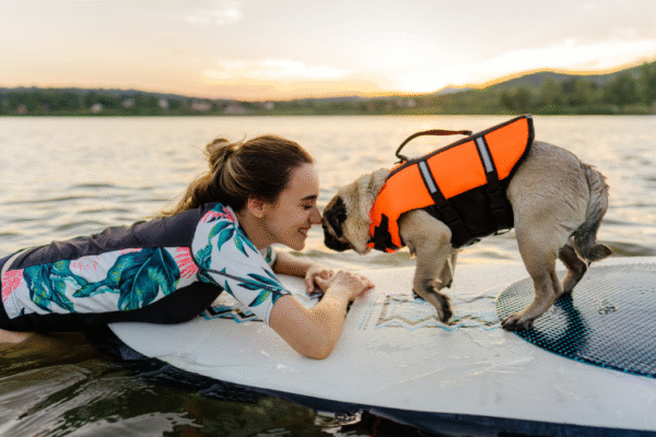 Faire du paddle avec son chien