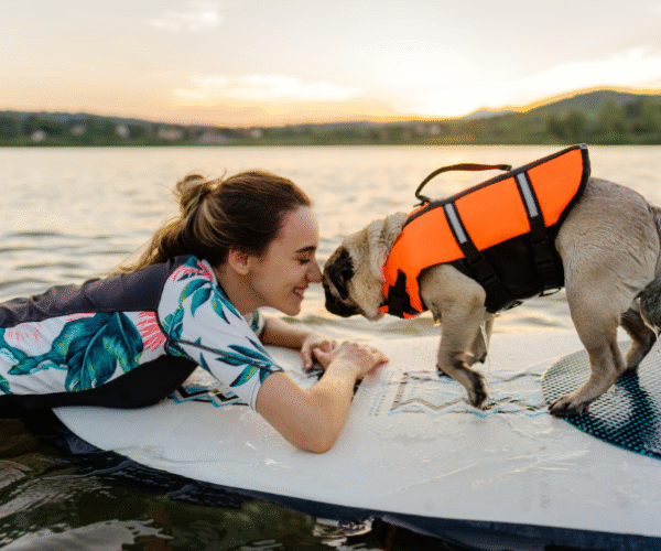 Faire du paddle avec son chien
