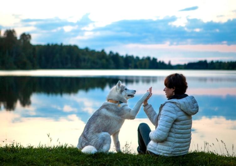 hébergement en bord de lac avec son chien