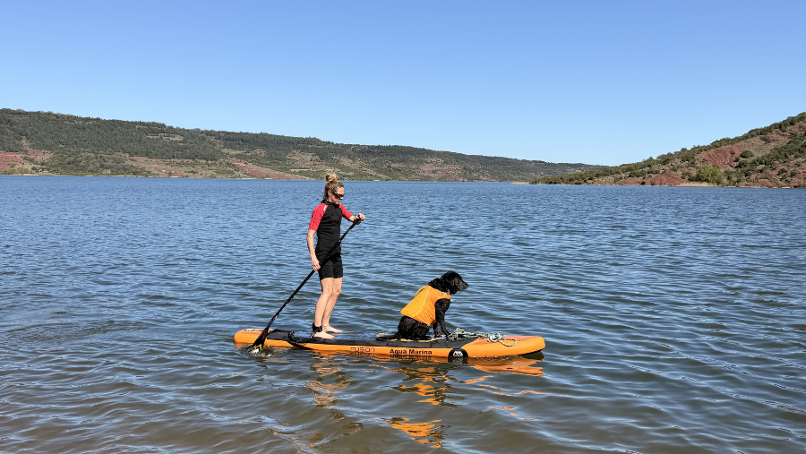 sortie paddle avec chien conseils