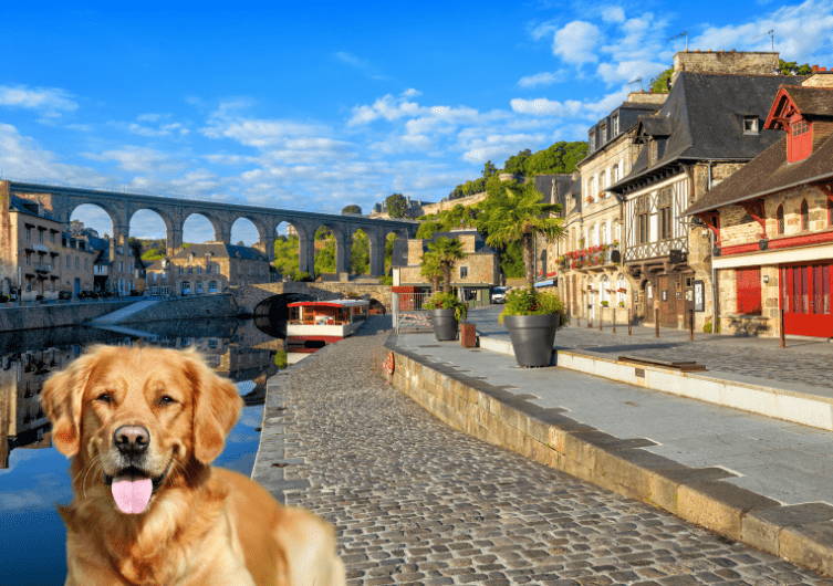 Côtes d’Armor: Miet- und Ferienhaushunde erlaubt