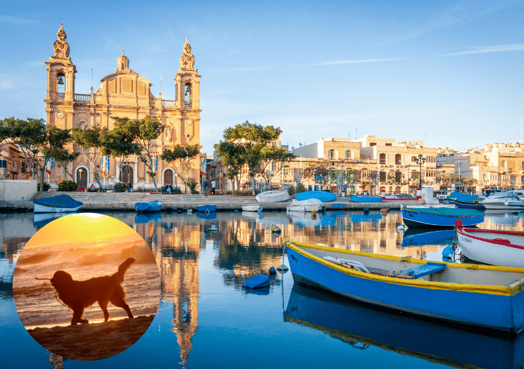 Met uw hond naar Malta reizen