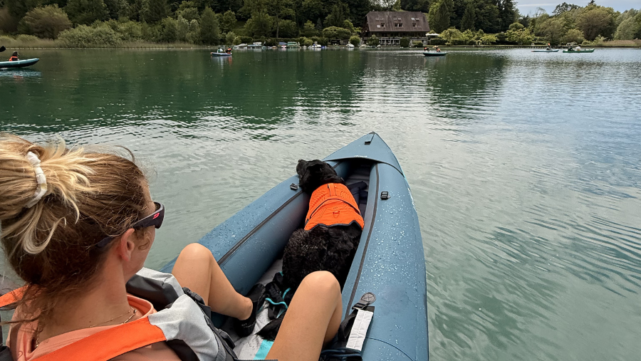 un chien apprécie sa sortie en canoë