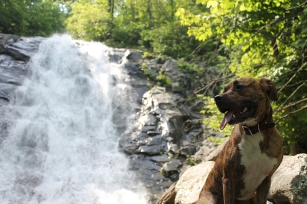 De Gorges en Cascades