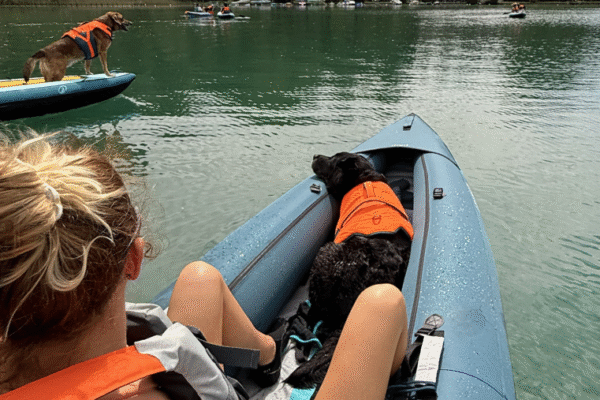 Faire du canoë avec son chien