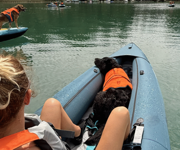 Faire du canoë avec son chien