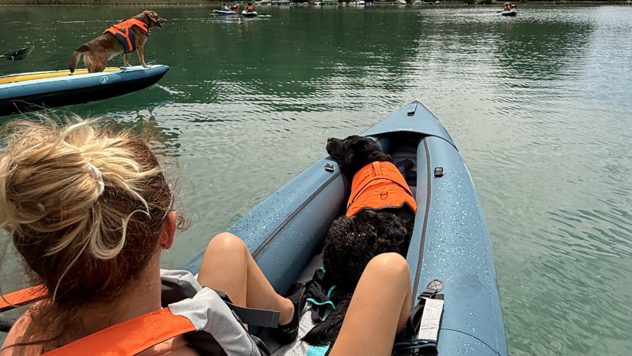 Faire du canoë avec son chien