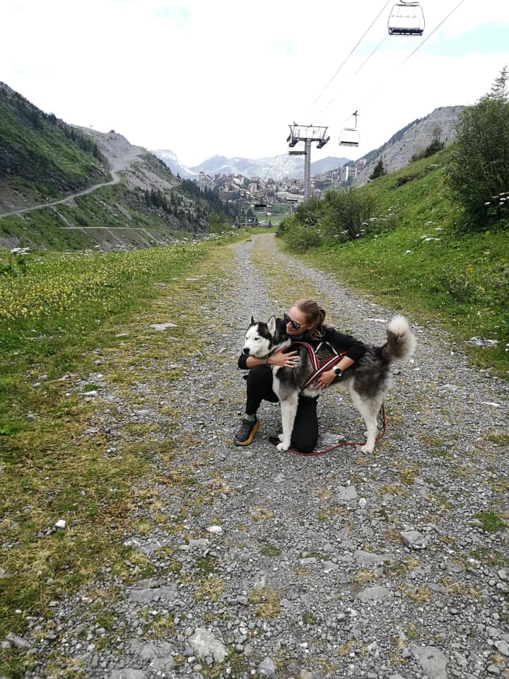 férias com seu cachorro nas montanhas no verão