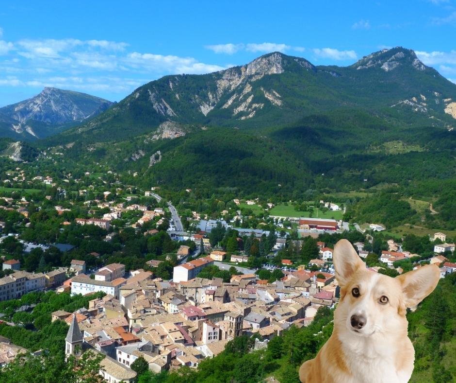 De Alpes-de-Haute-Provence met zijn hond