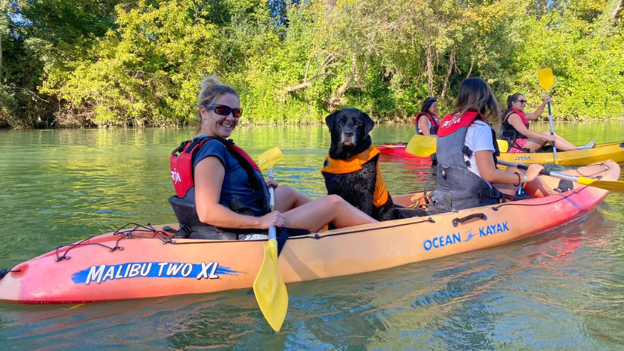 sortie canoë avec un chien en groupe