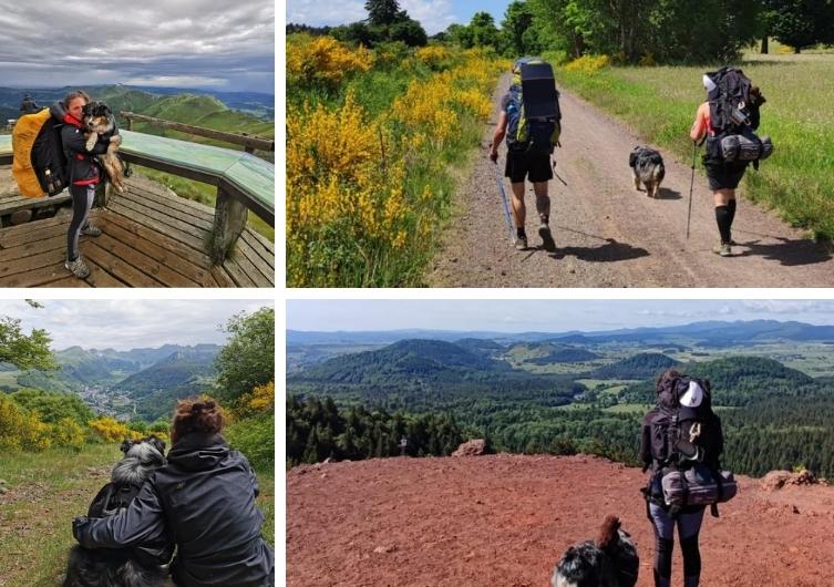 Vacances dans Le Puy-de-Dôme avec son chien